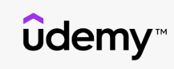 Udemy Organization